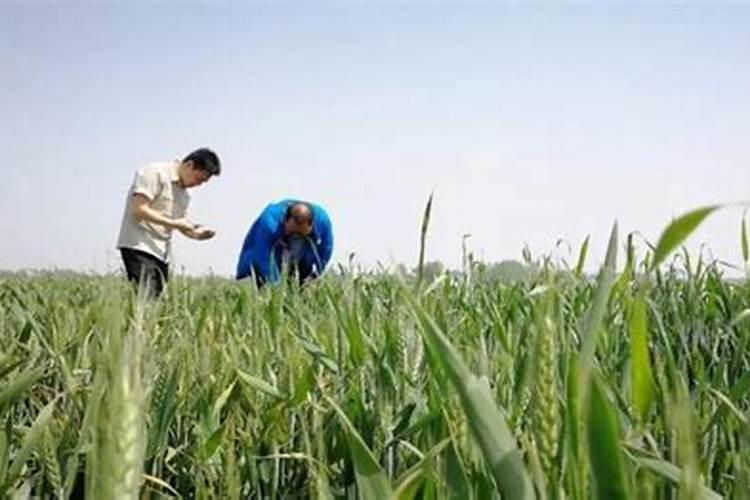 合理施肥增产的原因是什么