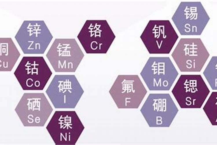 矿质元素、大量元素、微量元素分别是指什么？