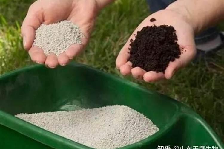 尿素怎么施肥效果好