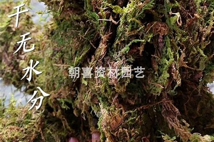 KNO3属于氮肥还是钾肥还是复合肥料？