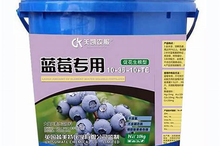 月季黑斑病用什么药