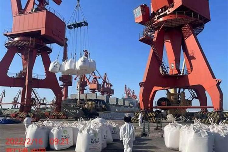 钾肥最适用哪些作物