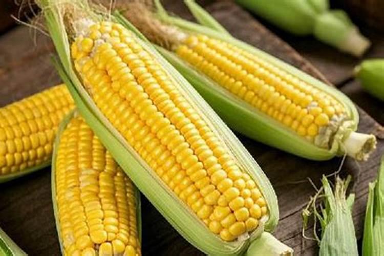 芍药花如何用种子种植