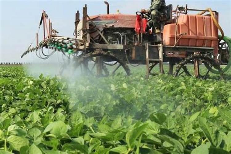 大豆用什么叶面肥效果最快呢