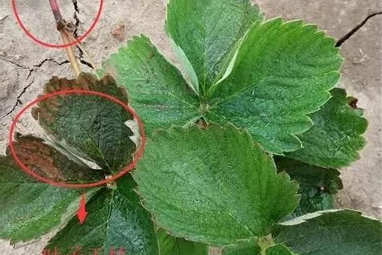 近代史上湖南出了哪些伟人？