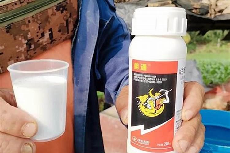 磷酸二氢钾和虫螨晴一起可以打玉米吗？