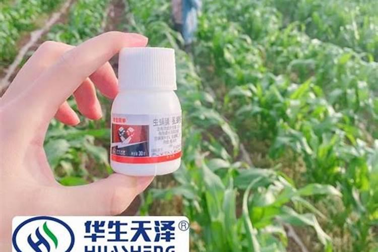 乙蒜素和虫螨腈虱螨脲和什么叶面肥可以打大樱桃