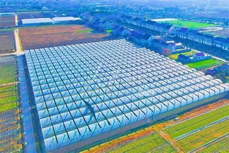 水溶肥十大名牌