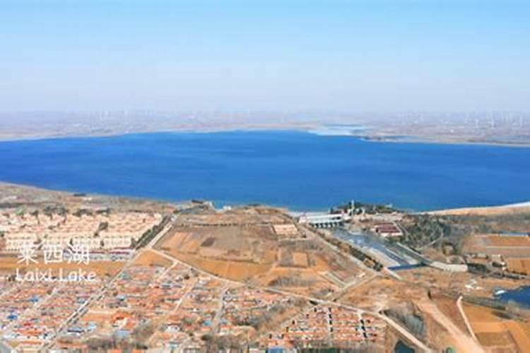 我家院子里的红花继木生虫枯死,应用什么农药？