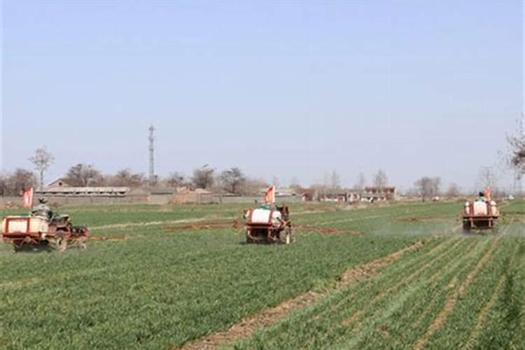 平衡水溶肥配方