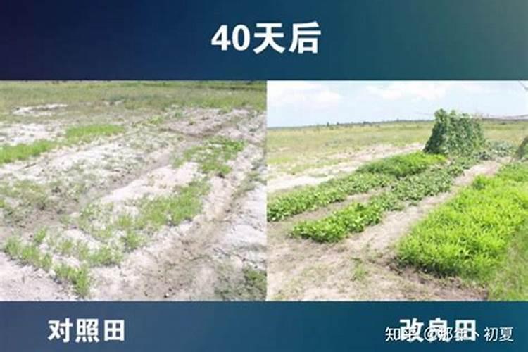 中国水溶肥十大名牌排行榜