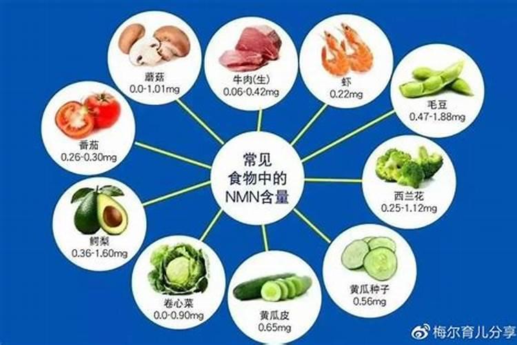野菜之王是哪种菜