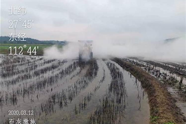 在水田淹水的这个时期,哪种氮肥是不应该施用的