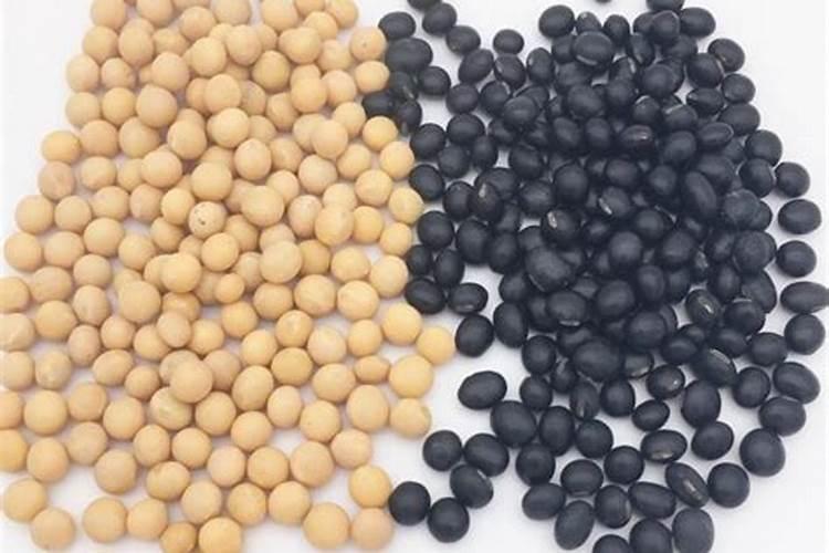 斤水溶肥兑多少水,水溶肥如何使用效果才好