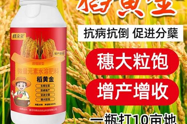油菜专用肥最佳配方花卉百科