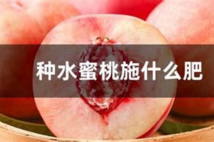 促进果实成熟的激素是A.生长素B.乙烯C.脱落酸D.细胞分裂素