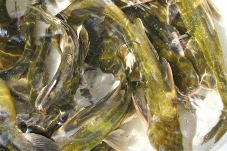 弱碱性矿泉水十大牌子,弱碱性水有哪些品牌