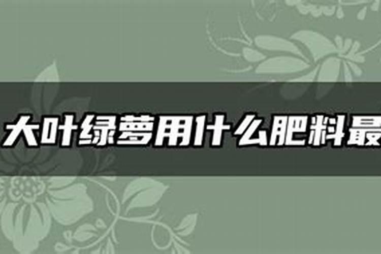 芸苔素内酯使用方法与用量