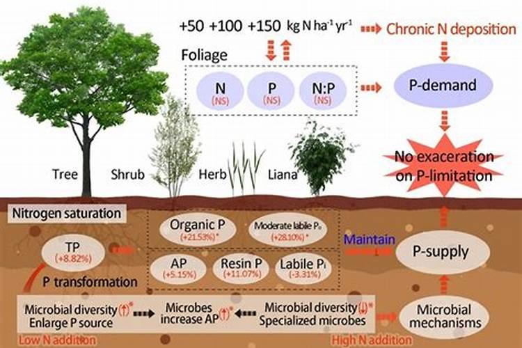 芸苔素14,24,28的区别是什么？