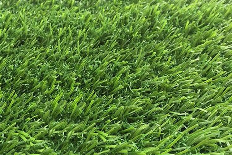 种植草坪前施啥肥肥料