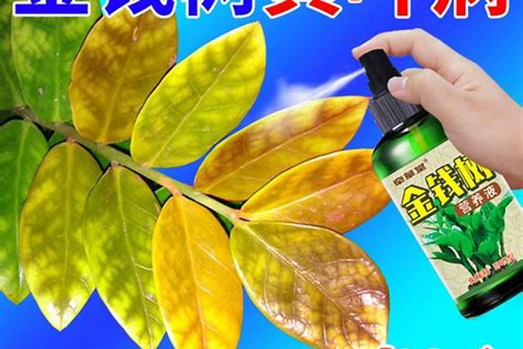 作物缺素？看完这篇文章你就到你的农作物缺什么肥