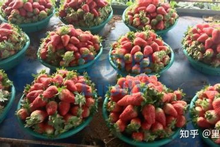 花生后期追肥使用什么肥料