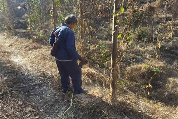 氮磷钾复合肥使用方法