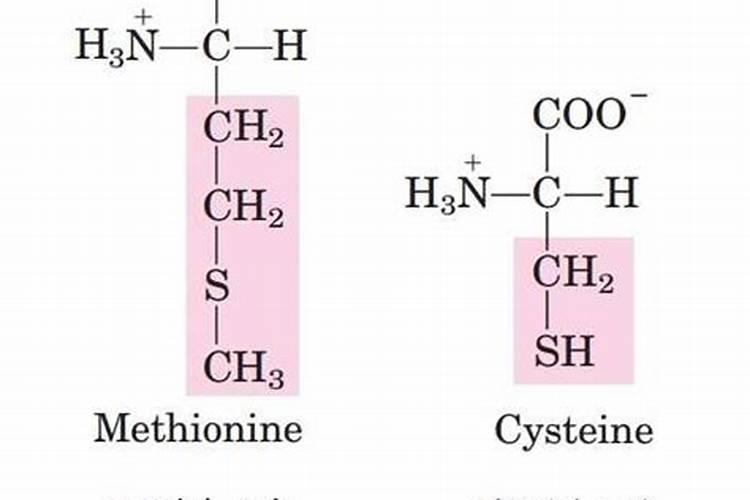 西兰花能耐多低温度？