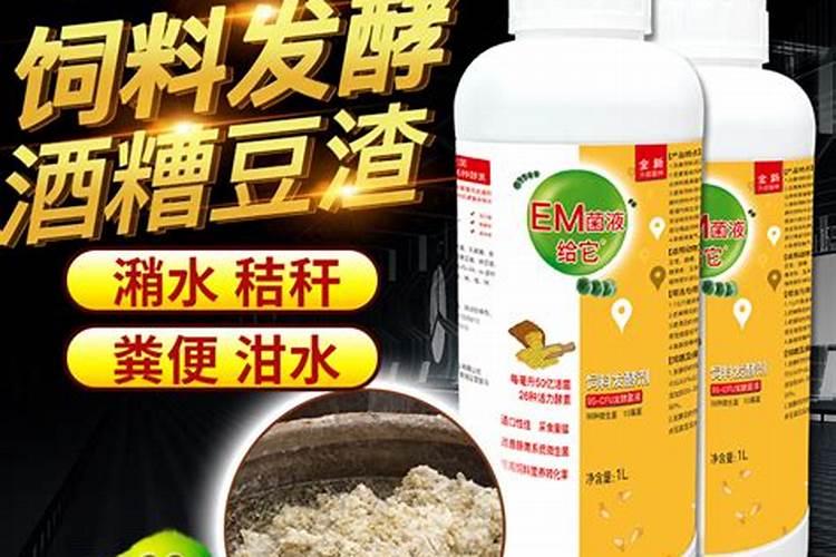 什么是发酵床养猪技术