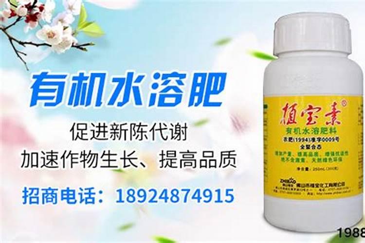 芒果树几年才能结果