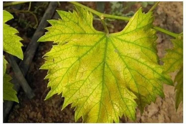 单质氮肥生产用登记吗