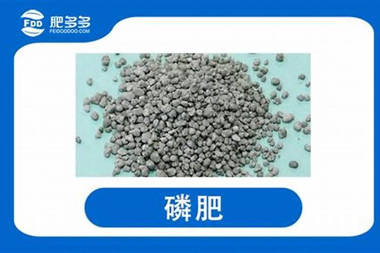 磷肥易溶于水吗