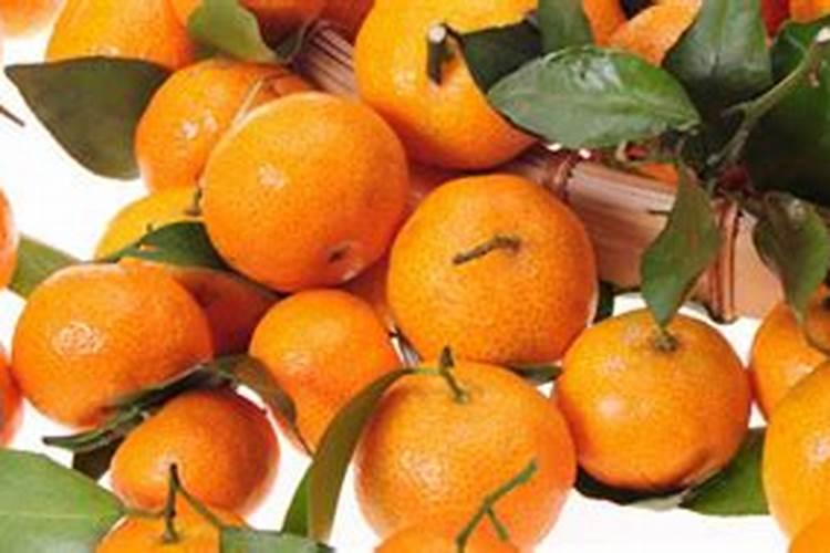 砂糖橘种植时,如何种植出高品质的橘子？