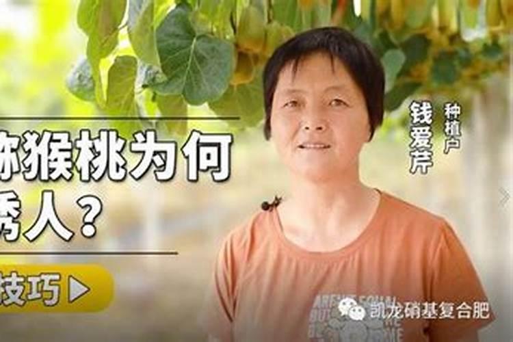 什么花喜欢磷酸二氢钾