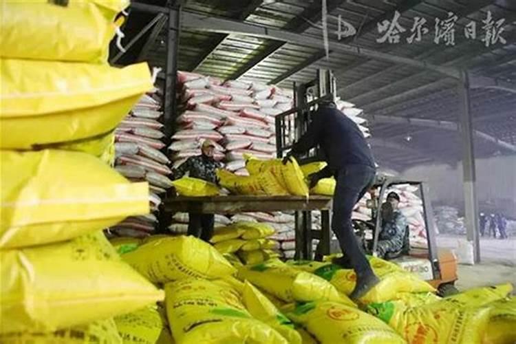 辣椒用什么肥料好