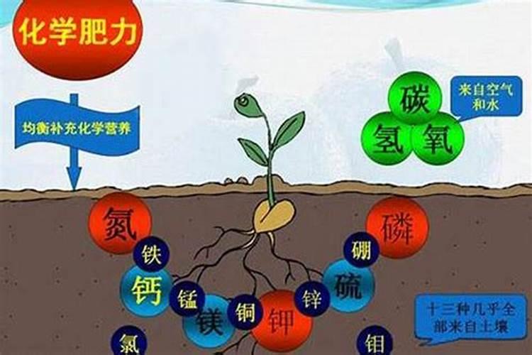 土壤肥料养分如何速测？