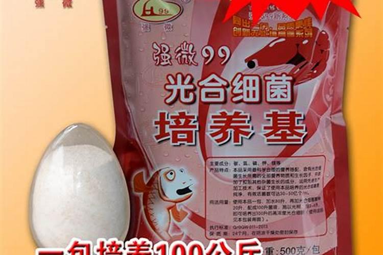 硝化细菌可在青霉素环境下生长