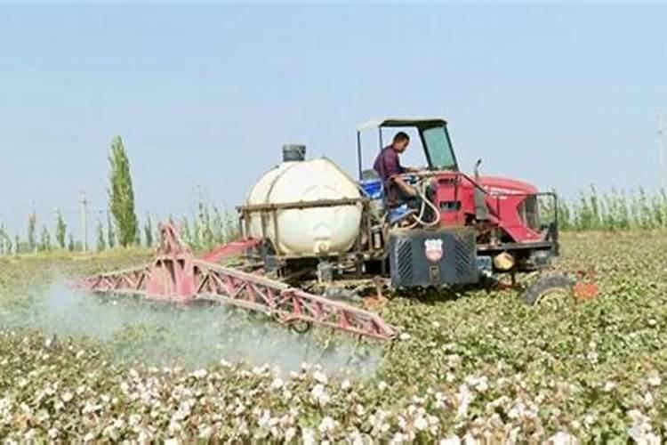 一亩地用多少硼肥