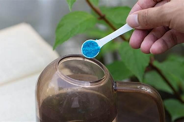 草莓露天种植施肥方法