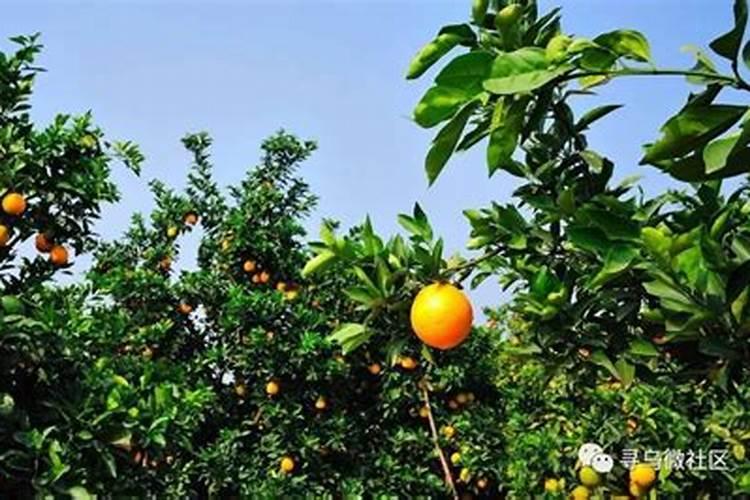 穗满仓复合肥多少钱一袋