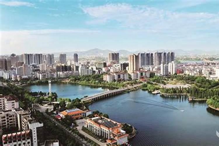 榕树盆景用什么肥(榕树盆景用什么肥料)