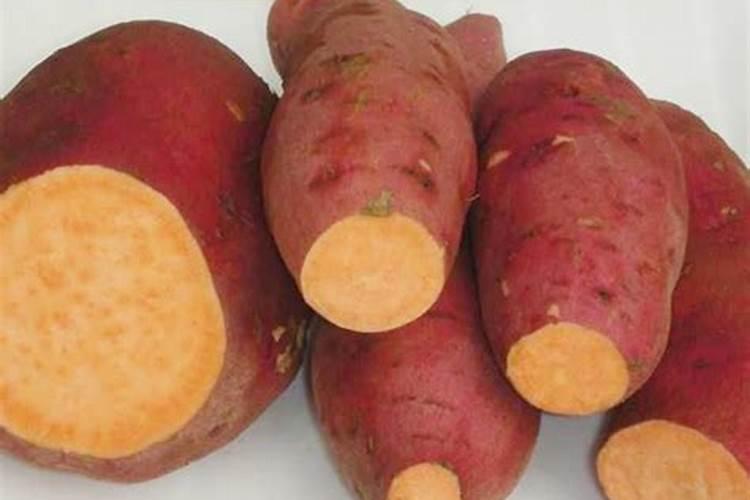 玉米专用复合肥能在土壤表面使用吗