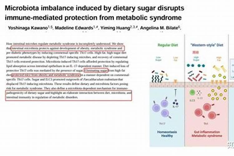 柑橘全年施肥时间表