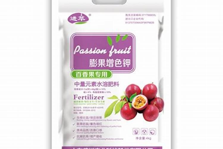 现在什么水果最好