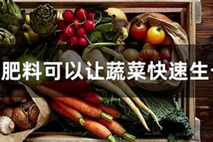 蔬菜生长期施什么肥料最好？