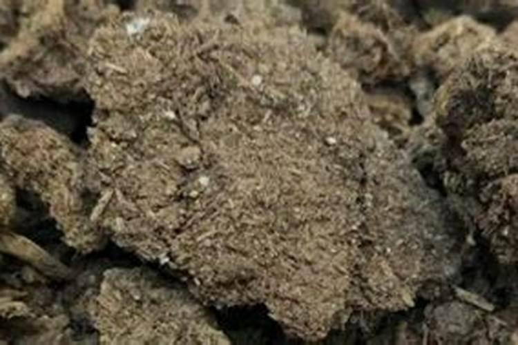 哪些有机肥的钾含量高