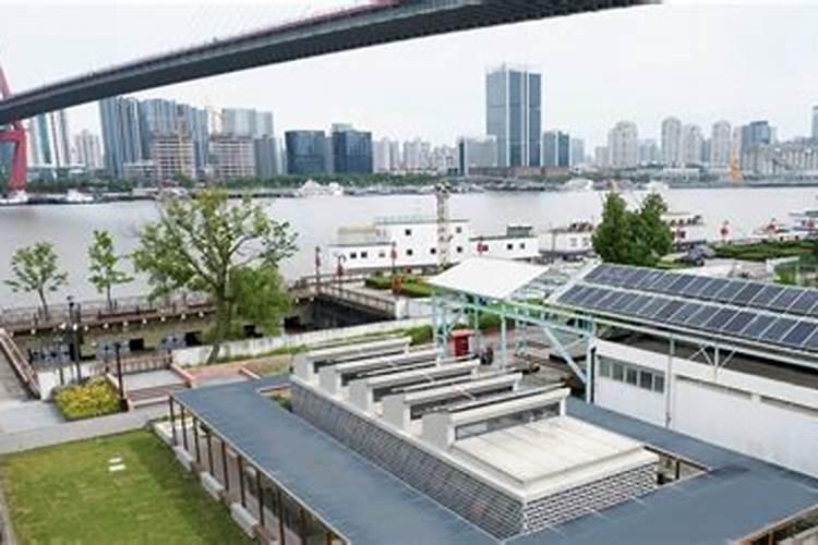 沙漠玫瑰施什么肥比较好