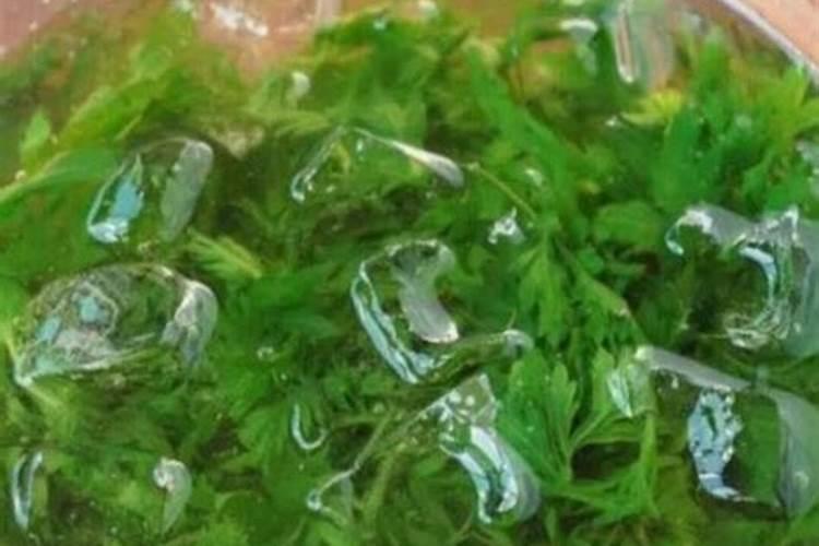 艾草上什么肥料？