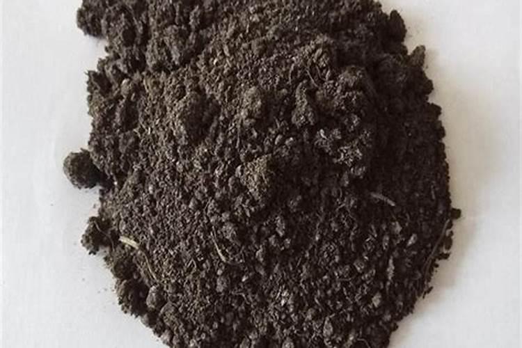 国内最大的有机肥设备企业在哪里？