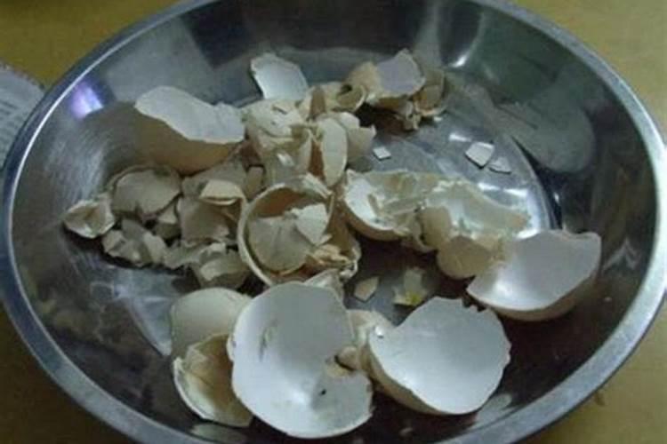 河蚌壳打粉能喂羊吗